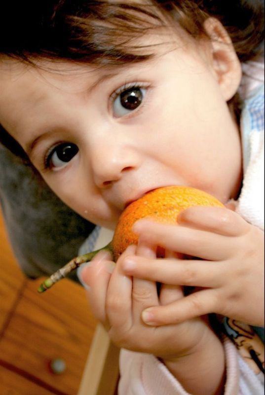 �����Թܴ���