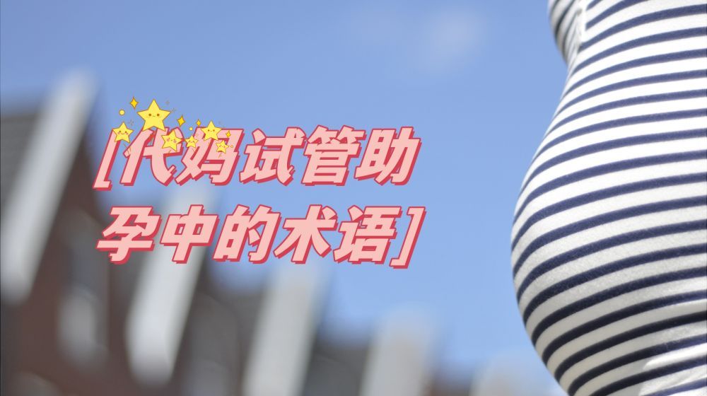 �����Թܴ������Թ����������е�10������