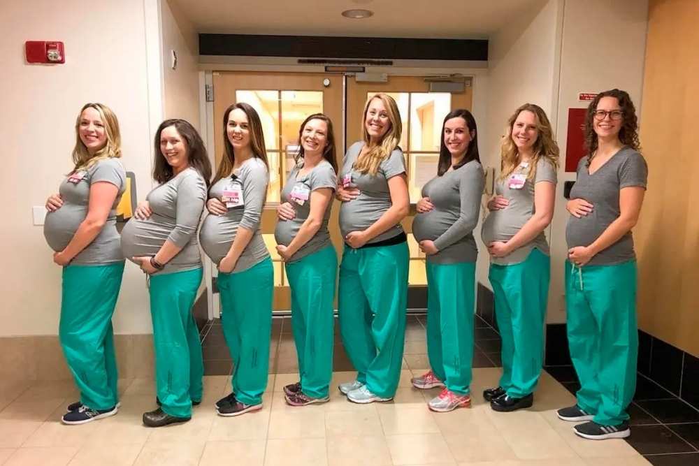 �����Թܴ����Ӥ���Ŵ���ϵ���Թ���������