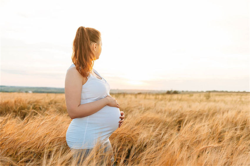 ���������Թܴ���