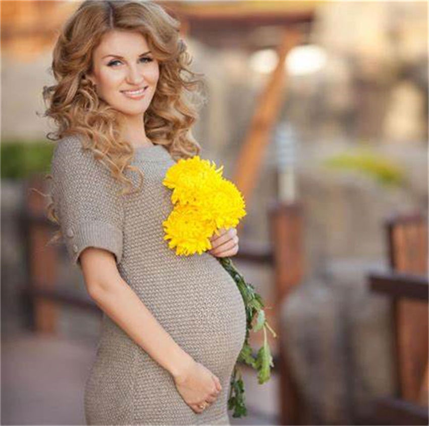 ���ݵ��Թ����мƻ�