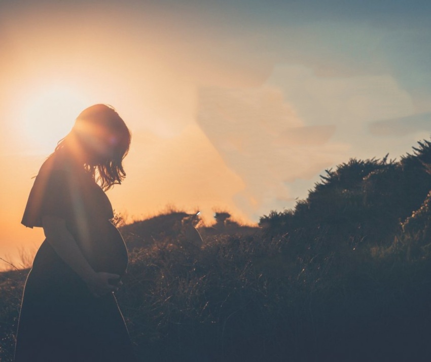 �����ܽ�